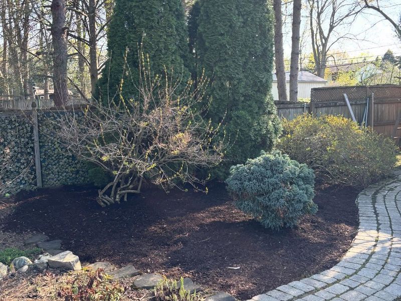 Stop Piling Mulch Against The House And Bed Edges