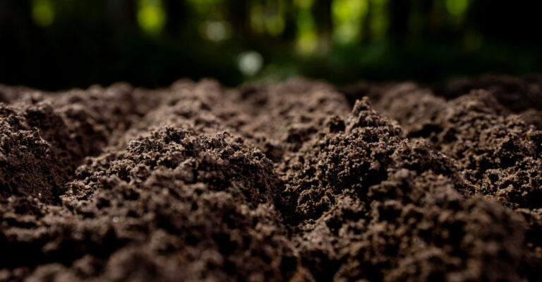 Stop Putting These 9 Things In Your Maryland Clay Soil, You’re Making It Worse