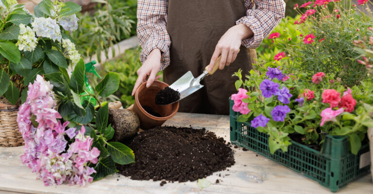 using old potting soil