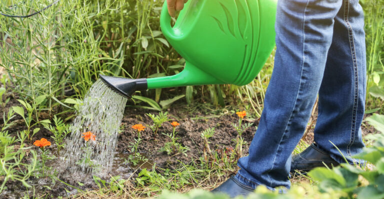 garden watering