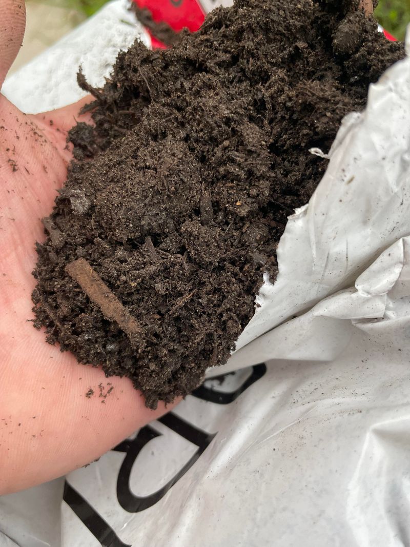 Straight Wood Chips Mixed Into Soil That Tie Up Nitrogen