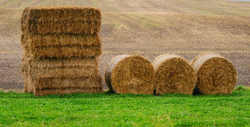 Straw And Hay Straw And Hay