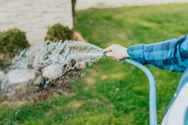 Strong Water Sprays Remove Aphids Without Harsh Chemicals