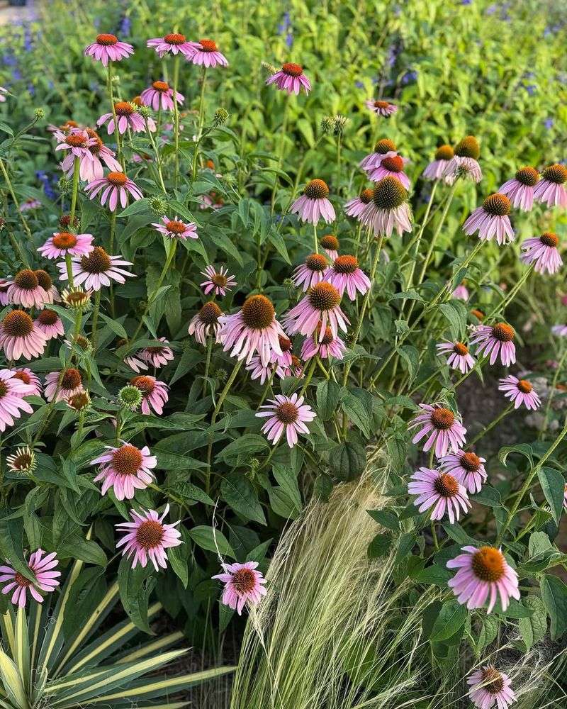 Sturdy Stems Hold Up Better During Heavy Rain