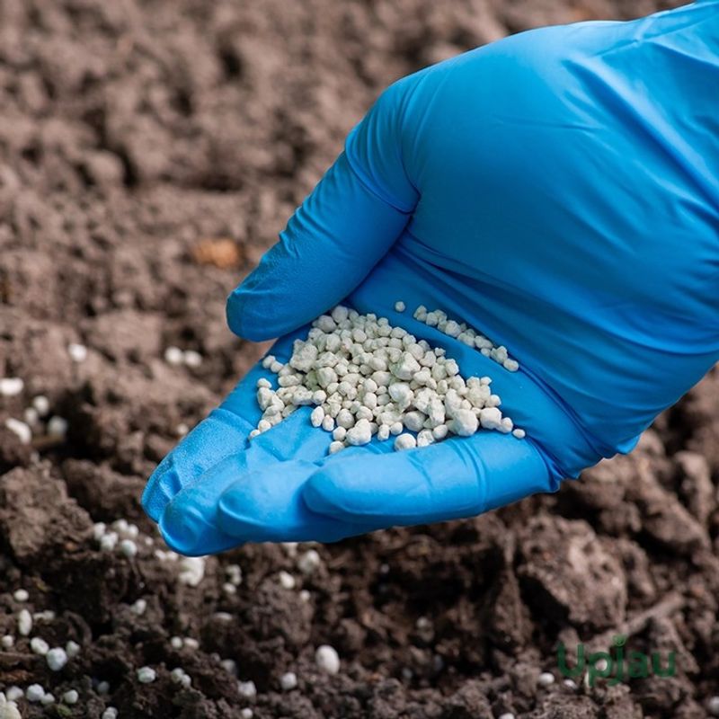 Sulfur-Heavy Fertilizers Can Shift Soil Too Far Sulfur-Heavy Fertilizers Can Shift Soil Too Far