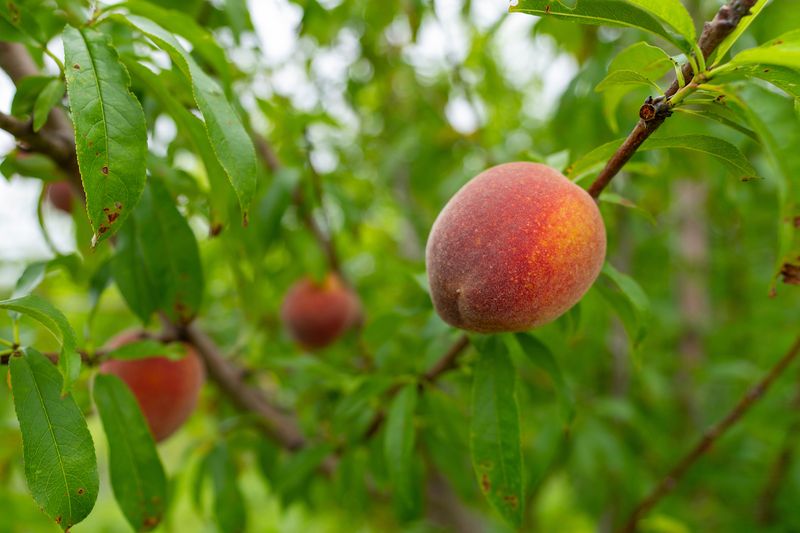 Summer Heat Makes Moisture Management More Important