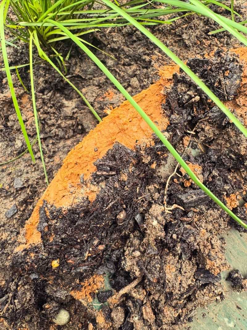 Swamped Roots Struggle For Air