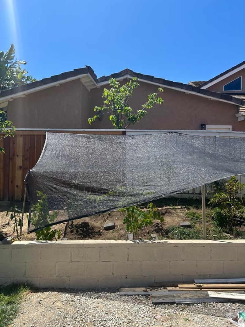 Temporary Shade Now Could Save Your Young Trees 