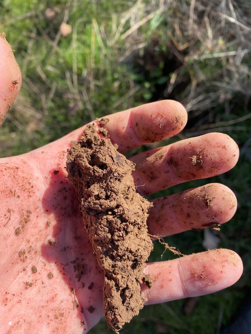 Test Soil Crumble Before Grabbing Tools