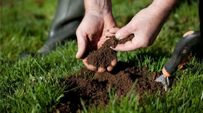 Test The Soil Before You Touch The Turf