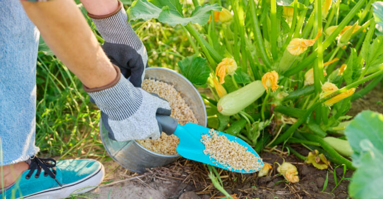 Texas Gardeners, This Is What To Fertilize In May For A Lush Summer Garden