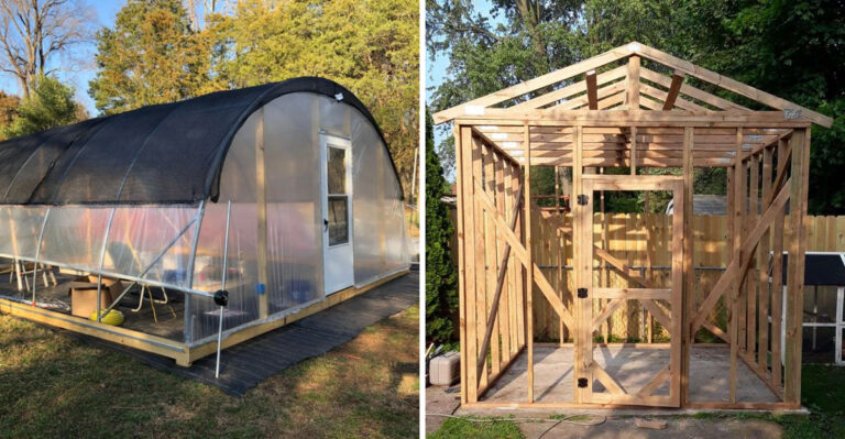 The Best DIY Greenhouse Ideas For Arizona That Handle Sun And Heat