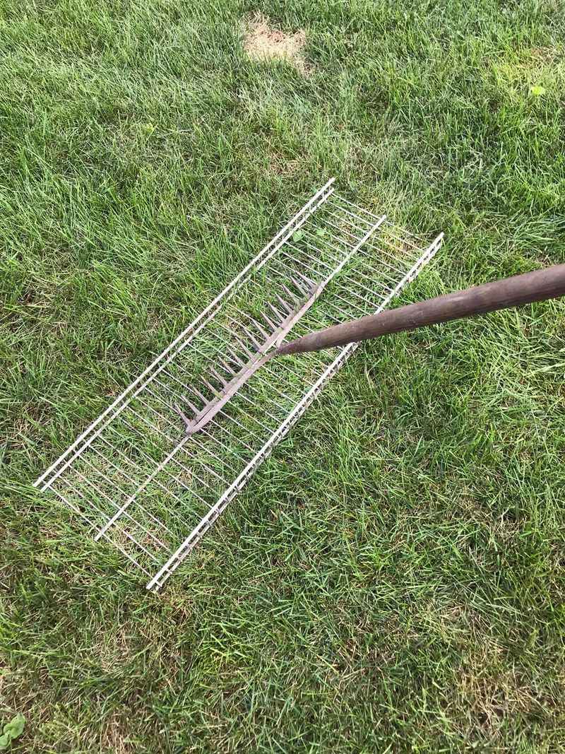 The Best Time Of Year To Level Your Lawn In Virginia