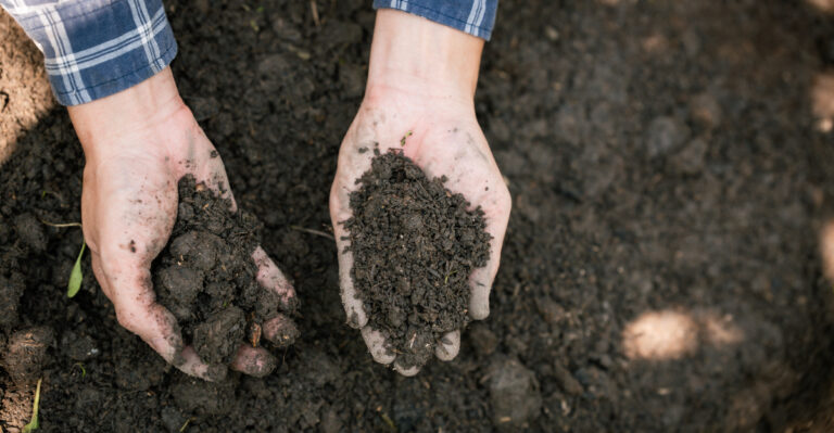 touching clay soil