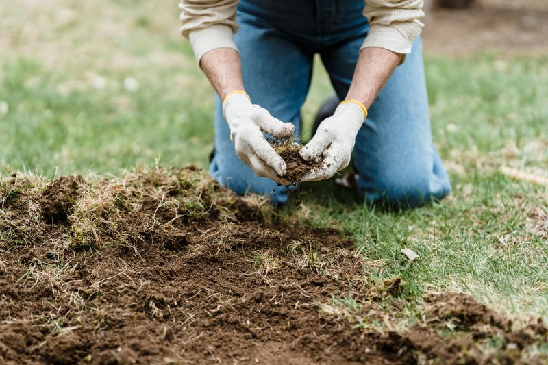 The Grub Connection Most Homeowners Completely Miss