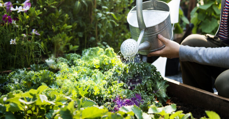 The May Gardening Mistakes That Often Lead To Fungus Problems In Georgia
