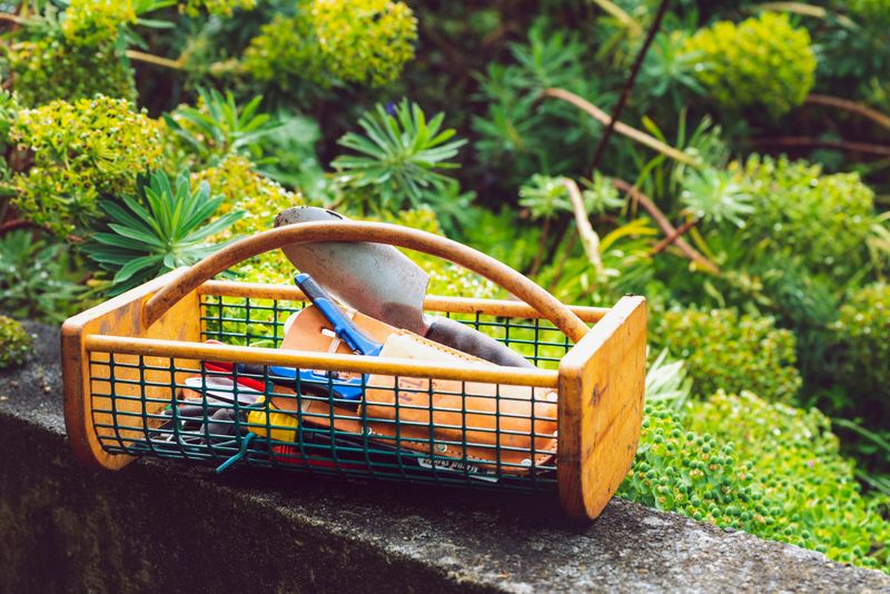 The Memorial Day Rule, And Why Local Gardeners Swear By It