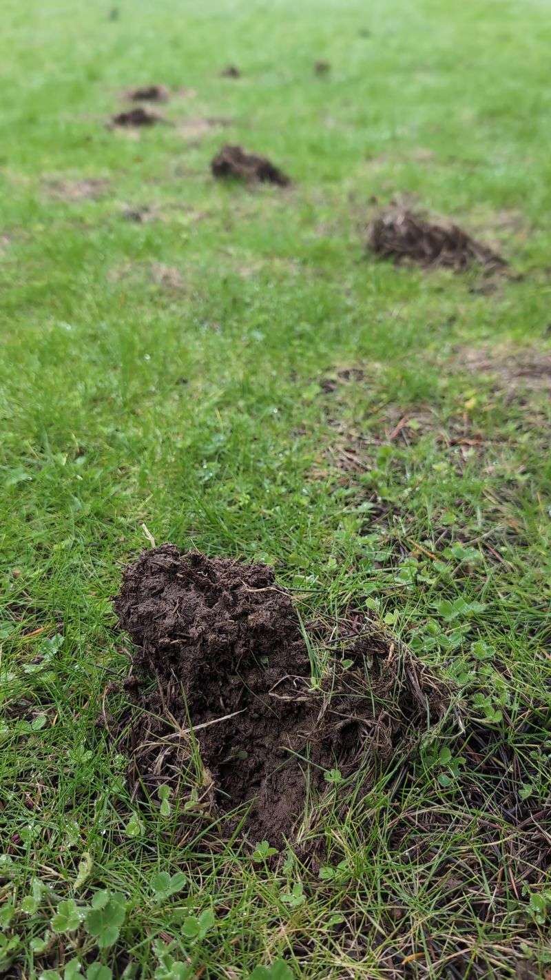 The Mistakes Washington Gardeners Keep Making Every Year