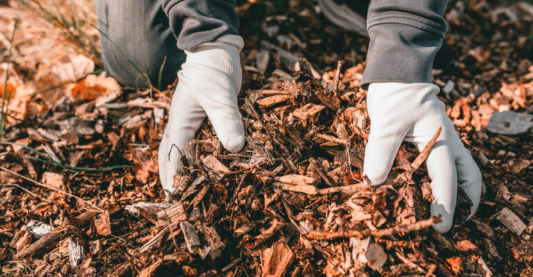 The Mulching Mistakes Kansas Homeowners Make That Damage Plants Through Summer