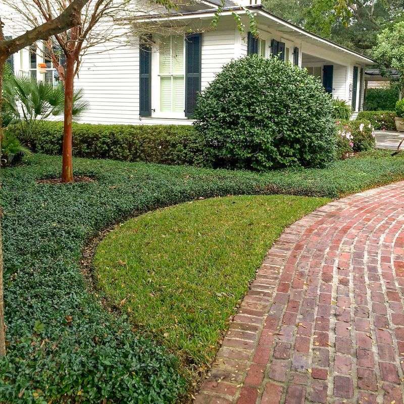 The Old Landscaping Favorites Are Losing Their Shine