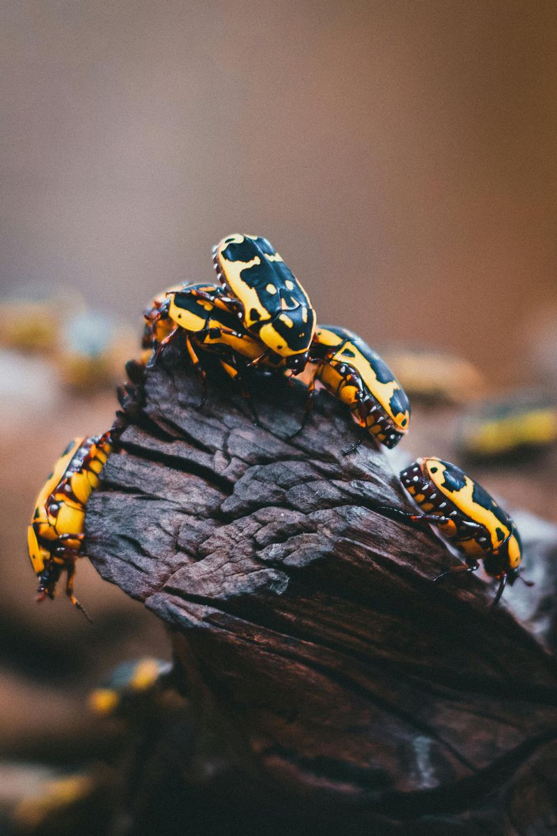 The Pests It's Silently Taking Care Of