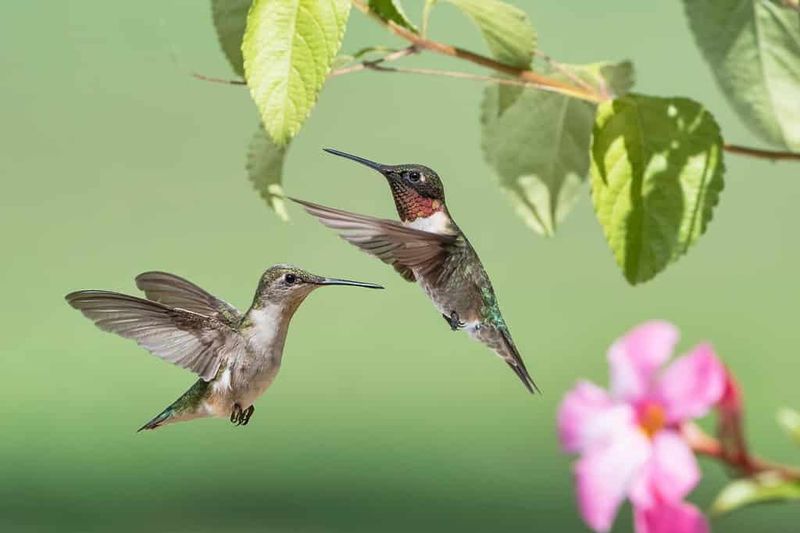 The Real Meaning Comes From Paying Attention The Real Meaning Comes From Paying Attention