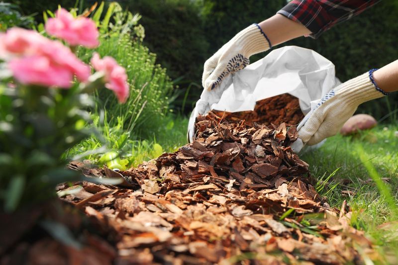 The Right Mulch Depth Helps Weeds Without Smothering Roots