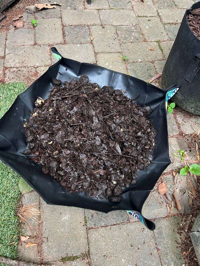 The Right Way To Add It To Your Bin