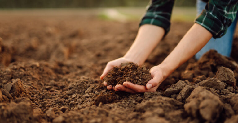 The Signs Your California Garden Soil Needs Help Before Summer