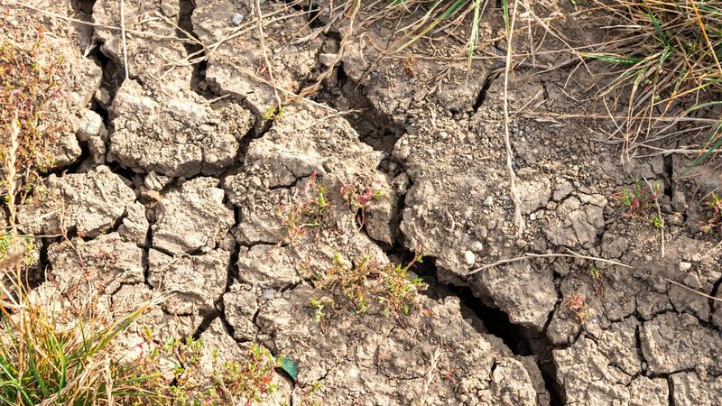 The Soil Dries Out Too Fast Once Weather Warms The Soil Dries Out Too Fast Once Weather Warms