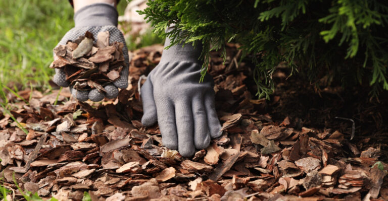 The Truth About Mulching In Michigan And Why Most Gardeners Are Doing It Wrong
