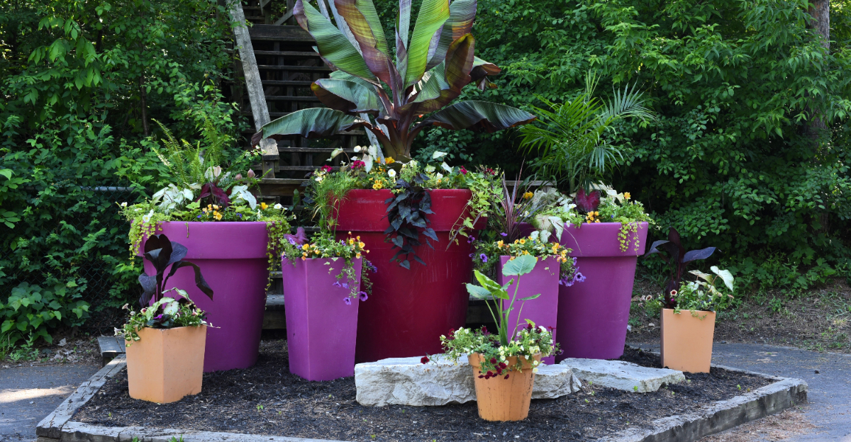 potted garden