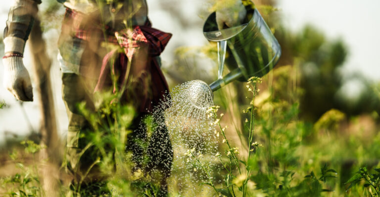 These Are The California Plants You Should Be Watering Differently Before Summer Hits