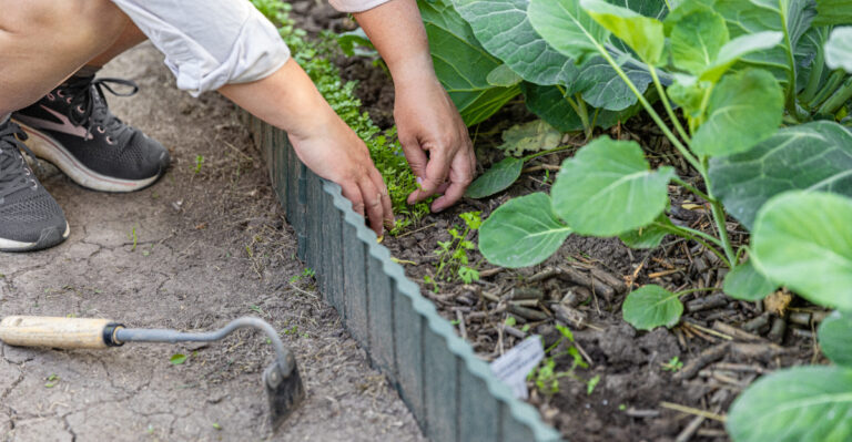 These Are The Mistakes California Gardeners Make In May That Ruin Their Summer Garden