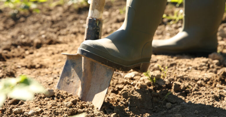 These Are The Signs Your Oregon Garden Soil Needs Help Before Summer Dry Season