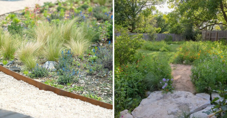 These Are The Texas Lawn Replacement Ideas That Qualify For Water Rebates Right Now