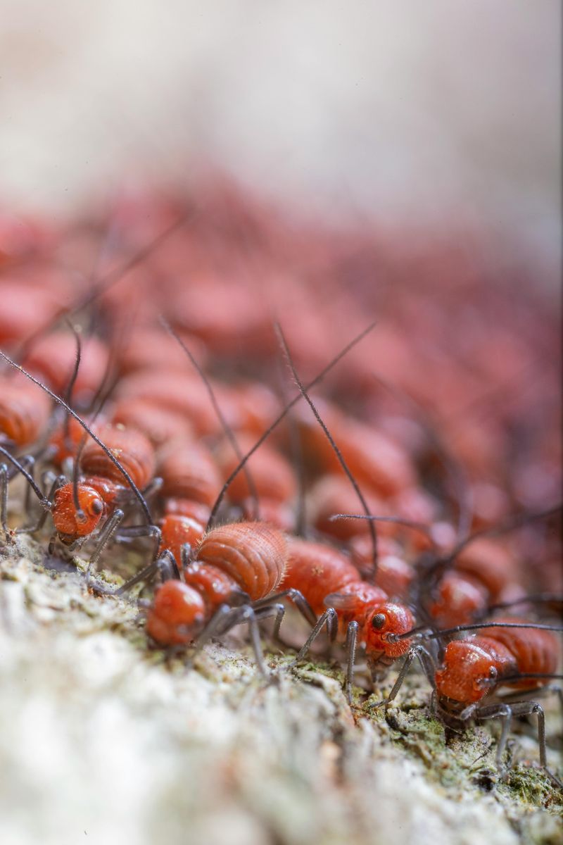 They Emerge In The Billions They Emerge In The Billions