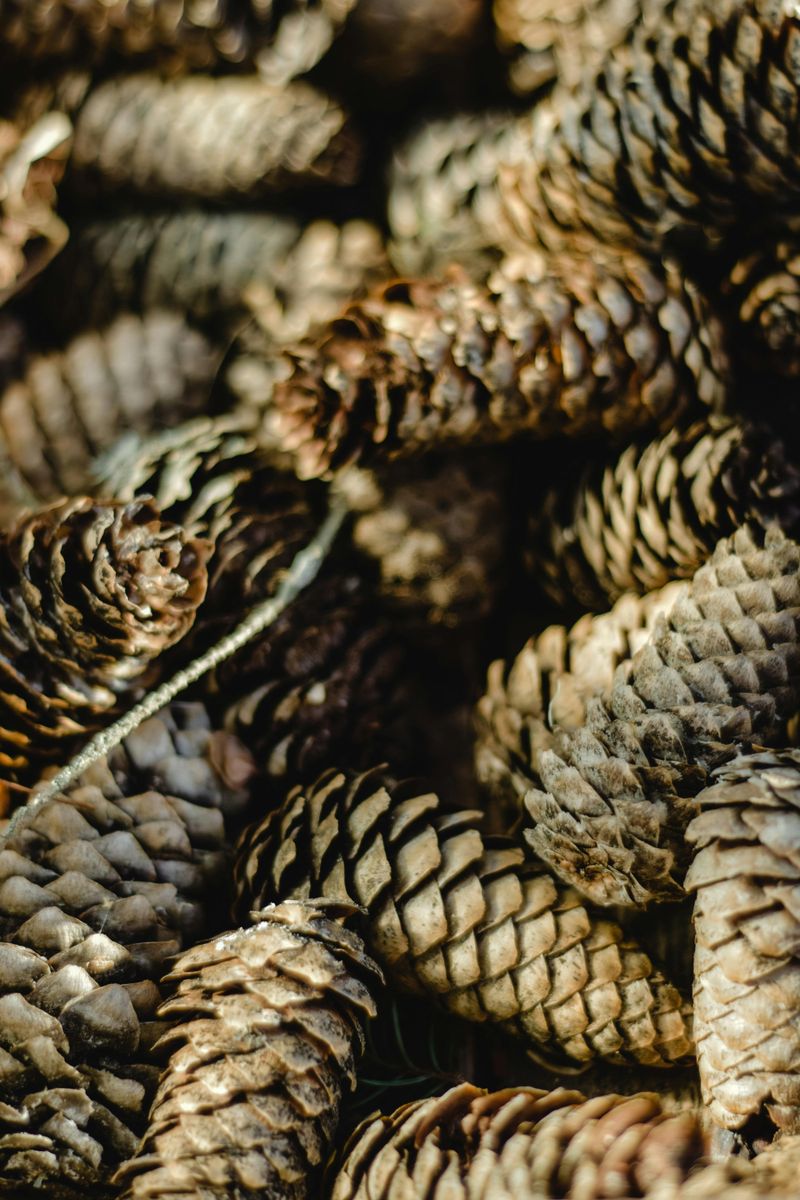 They Feed The Plants That Thrive In Acidic Soil