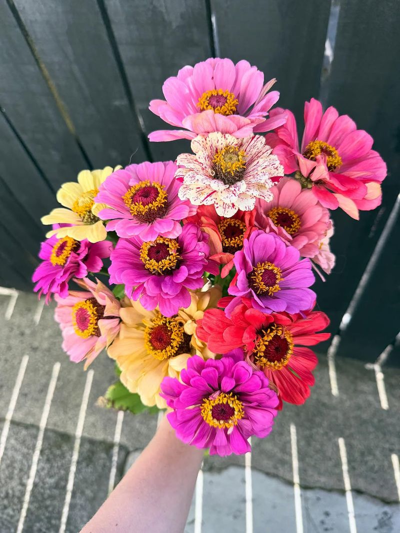 They Make Excellent Cut Flowers