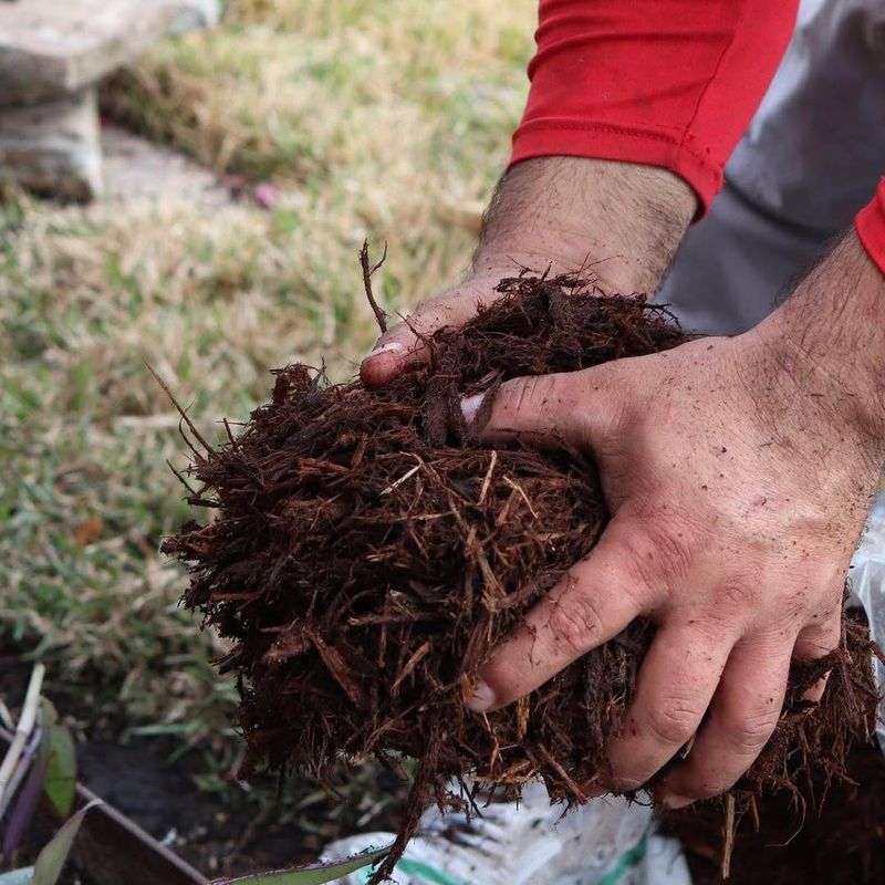 Thick Bark Mulch Stays Cooler Underneath During Extreme Heat