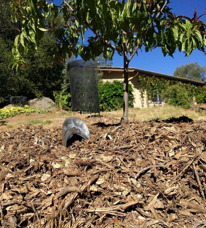 Thick Mulch Helps Soil Hold Moisture Longer
