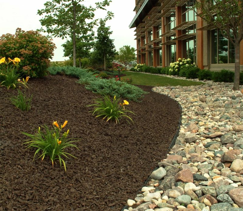 Thick Rubber Mulch Leaves Sandy Soil Hungry