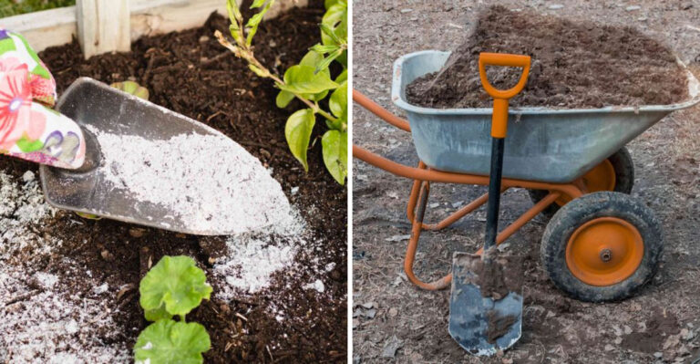 wood ash and fill dirt
