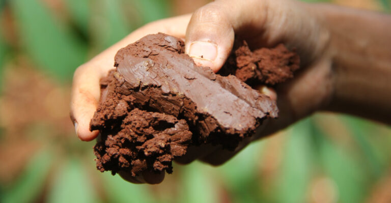 Things You Should Never Add To California Clay Soil No Matter What You Read Online
