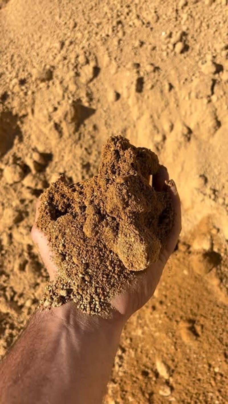 Sand In Large Amounts
