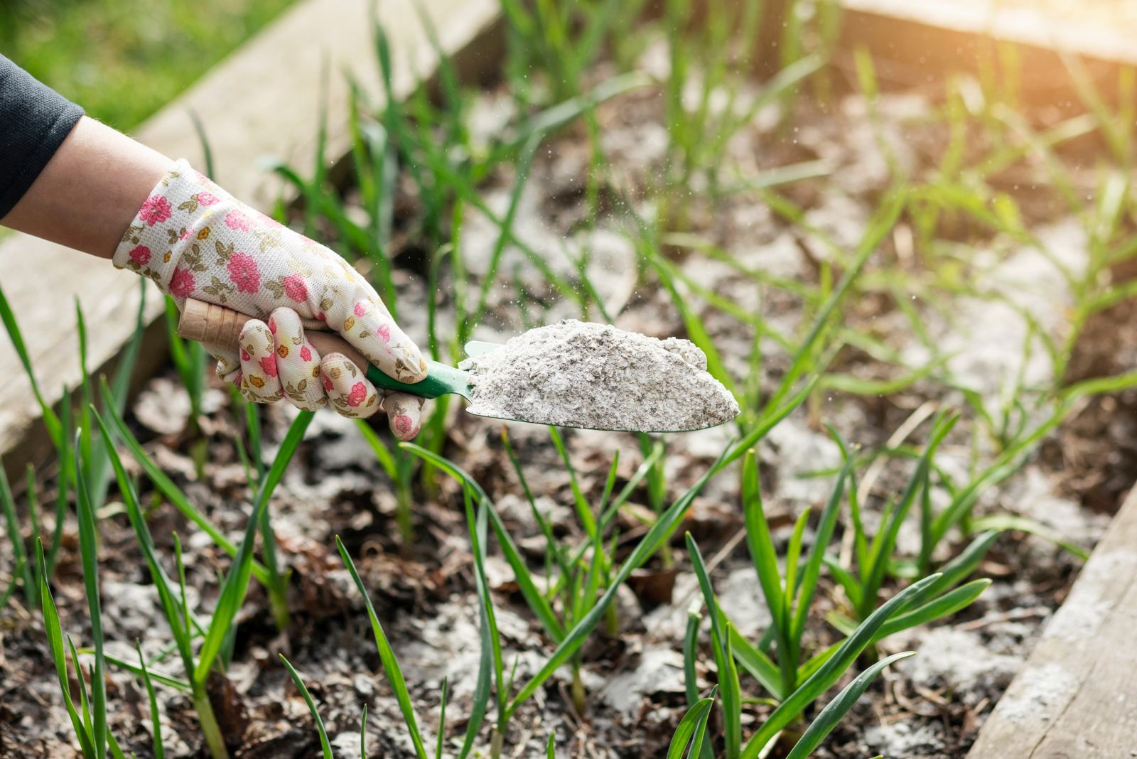 wood ash