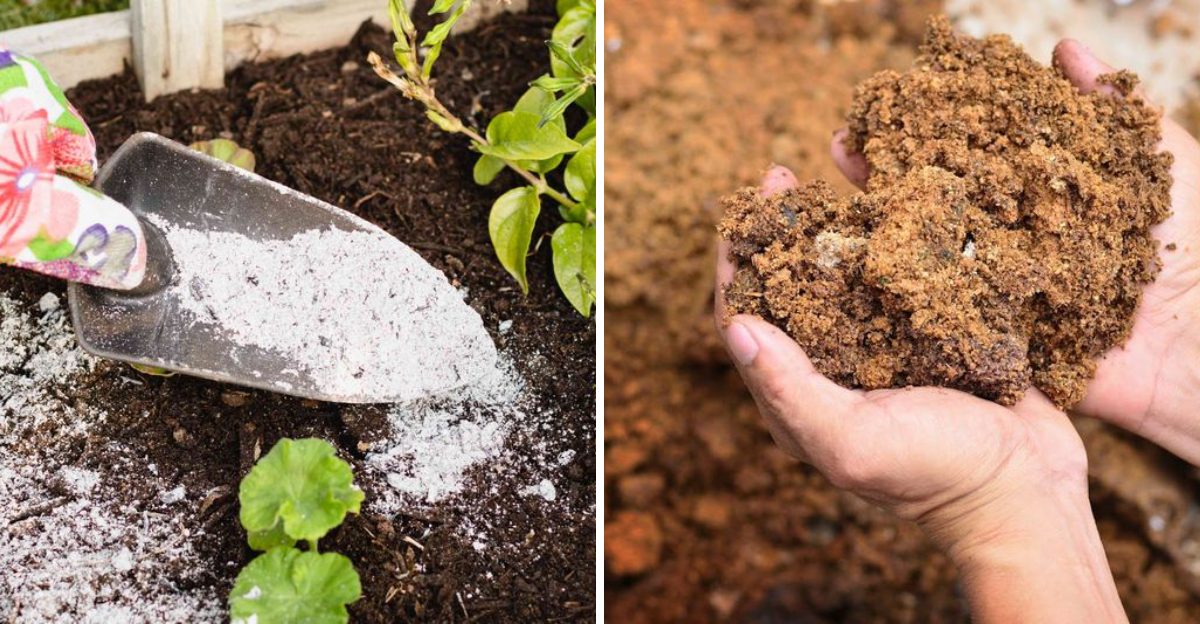 wood ash and clay soil