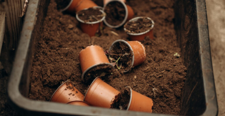 Think Twice Before Tossing That Old Potting Soil In Illinois