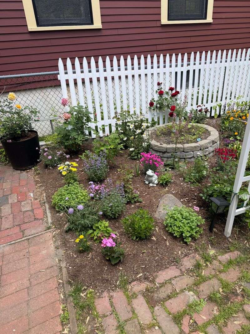 Tiny Plants Leave Too Much Empty Space