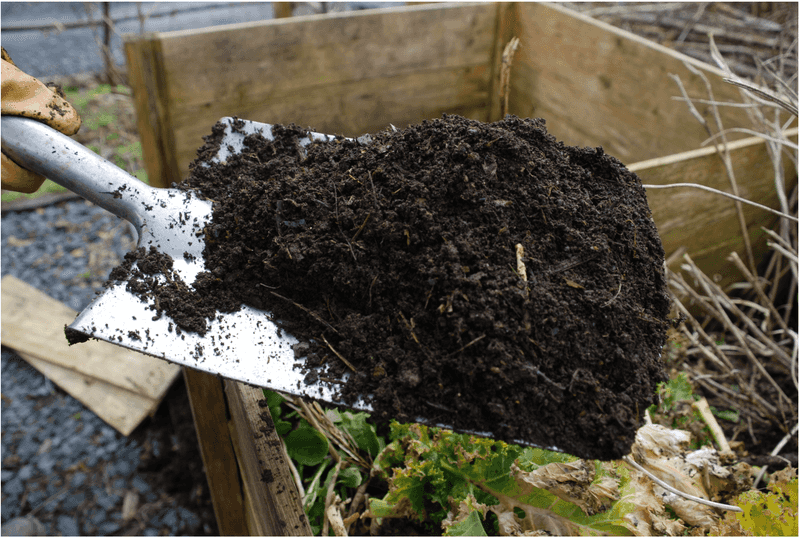 Too Much Manure Compost Can Backfire Over Time Too Much Manure Compost Can Backfire Over Time